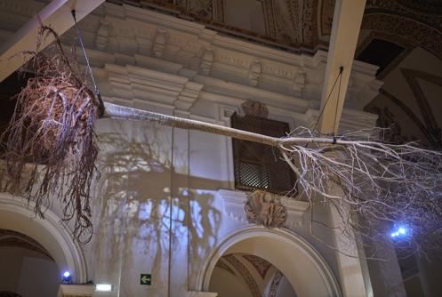 The iconic tree that Gerardo Vera used in the assembly «Divinas Palabras», the axis of this exhibition