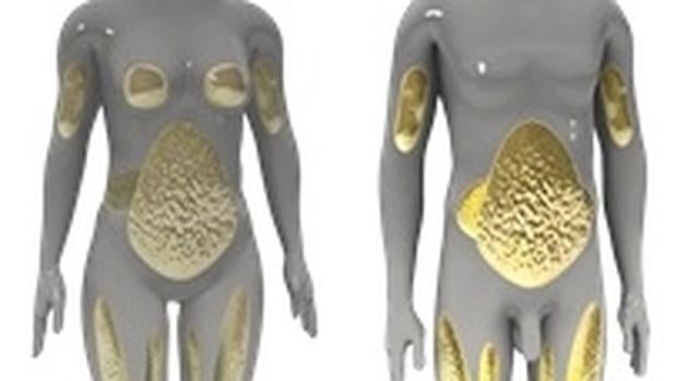 Como quemar grasa dela cintura y abdomen hombres
