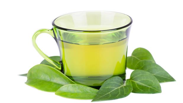 Bebida de te verde para adelgazar