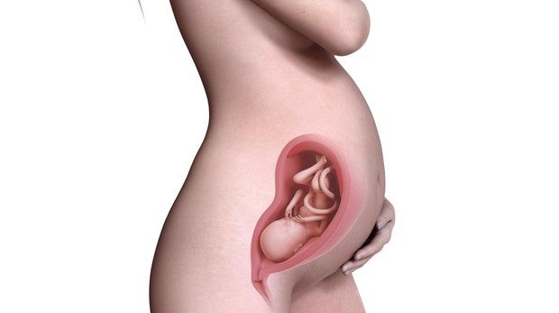 como esta el bebe a las 4 semanas de gestacion