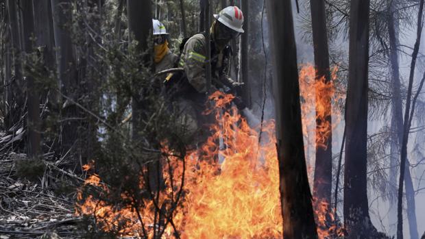 Dos miembros de la Guardia Nacional Republicana (GNR) portuguesa combaten el fuego en Alto da Louriceira