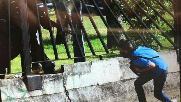 David Vallenilla, de 22 años, mortalmente herido en una protesta en Caracas