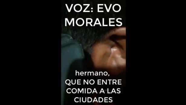 Difunden un vídeo donde Evo Morales supuestamente pide «que no entre comida a las ciudades»