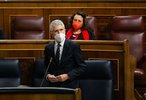 Fernando Grande-Marlaska, este jueves en el Congreso de los Diputados