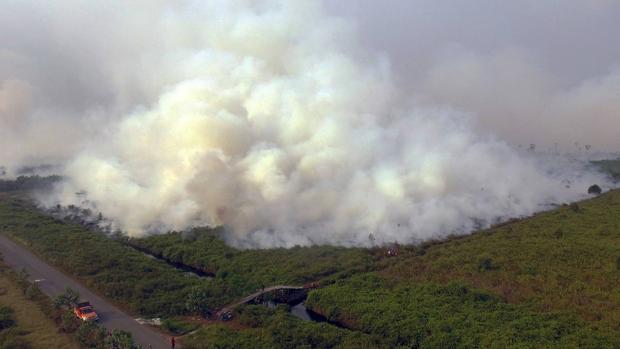 Los incendios que arrasan Indonesia: cinco claves que explican este desastre medioambiental
