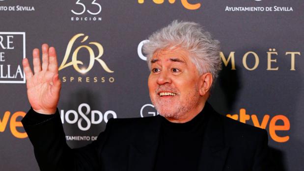 Pedro Almodóvar, en la alfombra roja de los Goya 2019