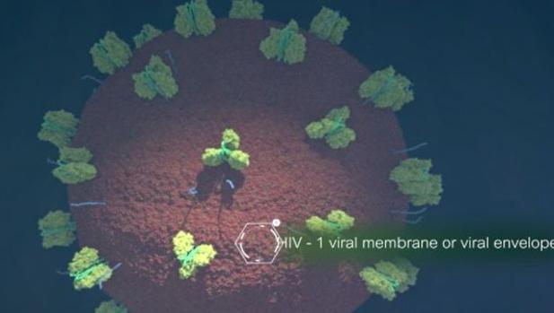Membrana del VIH