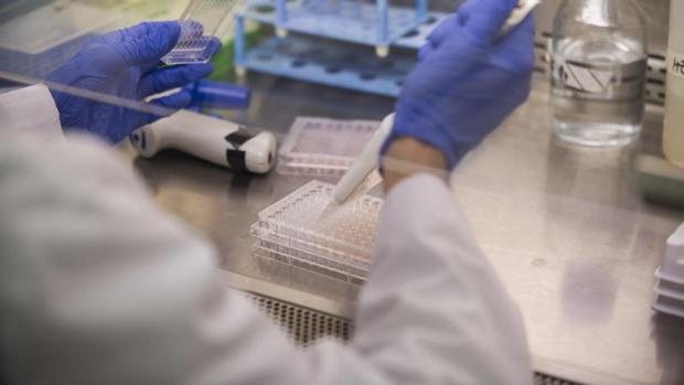 Investigadores de la Universidad de Vanderbilt han logrado frenar uno de los cánceres infantiles más letales