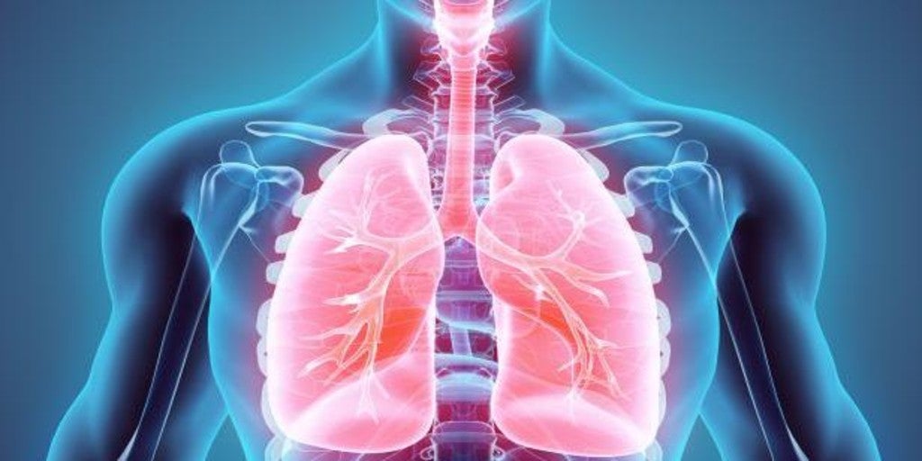 Un ensayo español evaluará la eficacia de un nuevo tratamiento para el cáncer de pulmón avanzado