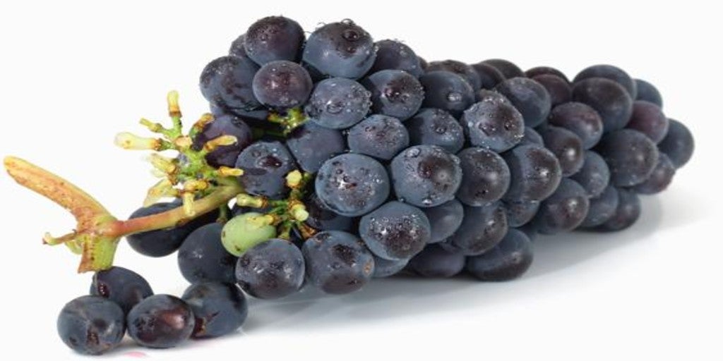Eating grapes increases the diversity of the intestinal flora and can