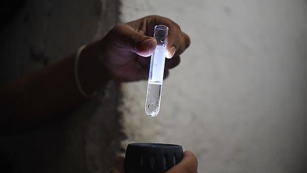 Imagen de archivo. Un trabajador de Guatemala sostiene un vial con mosquitos transmiroes del zika