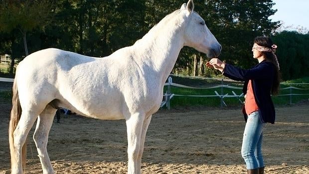 Caballos para luchar contra el estrés
