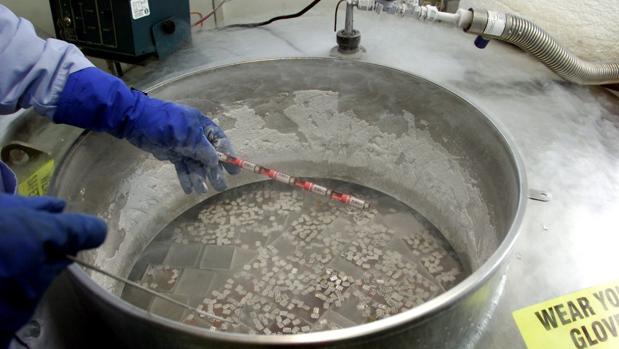 Tanque de esperma congelado