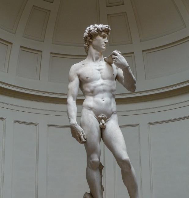 Pene masculino de 50 años