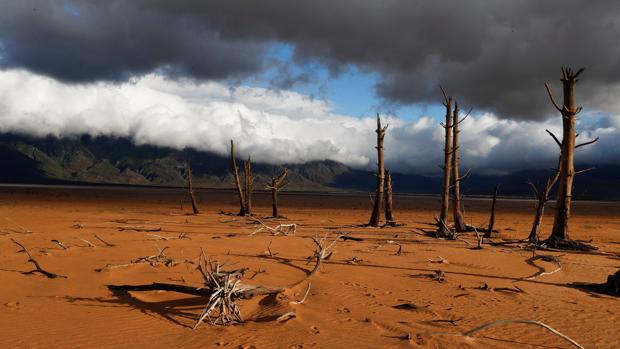 Un tronco de un árbol, que estaba sumergido cuando la presa estaba llena, es visto tras los bajos niveles de la presa de Theewaterskloof en Villiersdorp, Sudáfrica