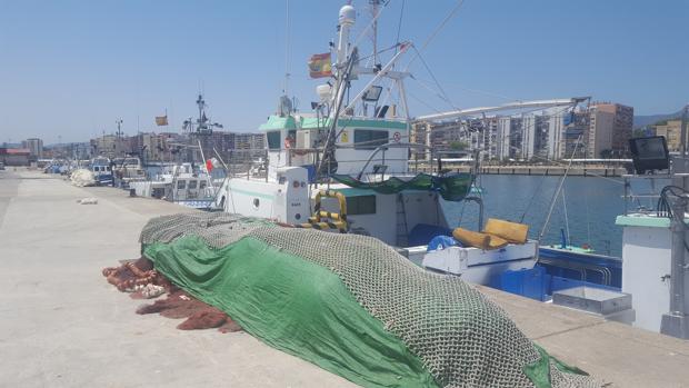 Flota marrada en el puerto de Algeciras