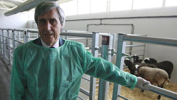 El experto Juan José Badiola afirma que «no hay que bajar la guardia», pese a que el mal de las «vacas locas» está contenido y se ha conseguido que solo aparezcan casos aislados