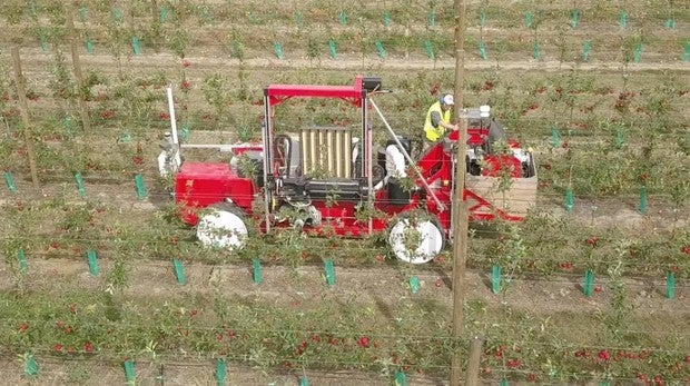 El robot de Abundant Robotics recolectando manzanas en uno de los campos de T&G Global en Nueva Zelanda