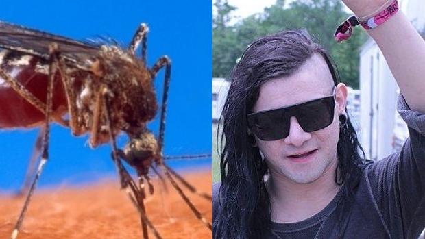 Una canción de Skrillex podría alterar la vida del mosquito 'Aedes aegypti'