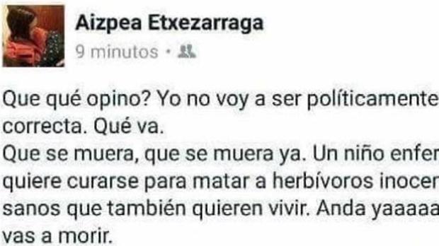 Las redes sociales son caldo de cultivo del odio «online»