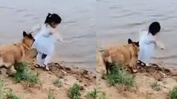 Momento en el que el perro salva a la menor