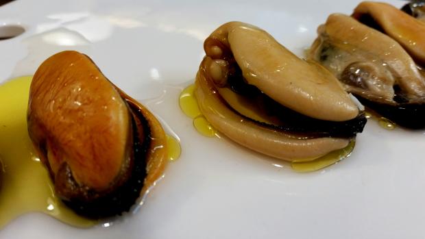 Los mejillones se unen a las rocas a través de un grupo de aminoácidos que se pueden utilizar para otros usos