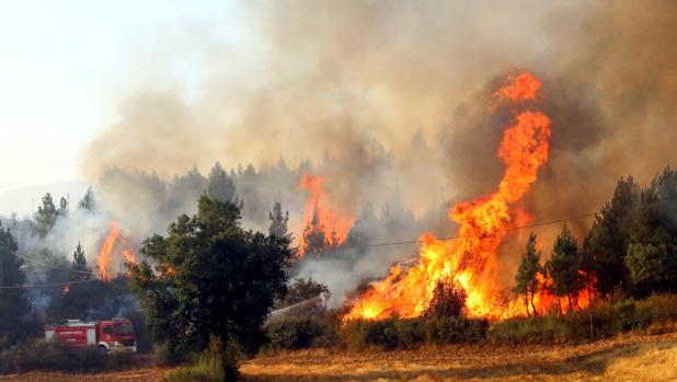 Incendio en Portugal el pasado 24 de julio
