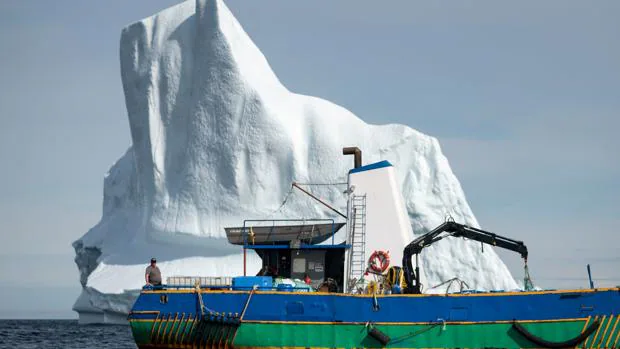 Resultado de imagen para caza icebergs agua