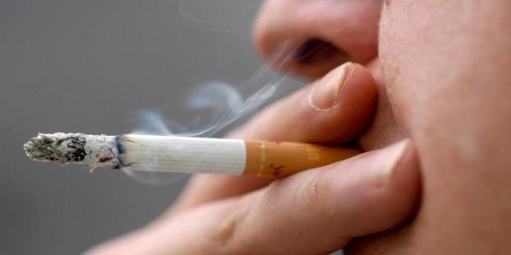 La OMS Advierte De Que El Tabaco Aumenta El Riesgo De Muerte Por ...