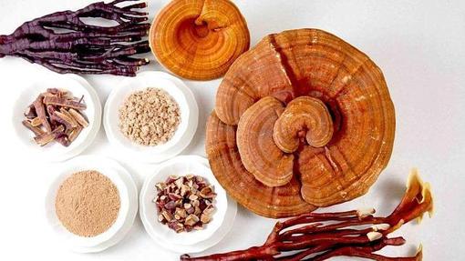 Hongos reishi