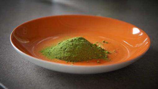 La moringa es un alimento muy completo desde el punto de vista nutricional