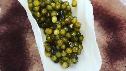 Etxebarri / Caviar a la brasa