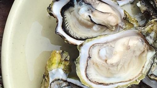 Las ostras contienen yodo, proteínas, minerales, vitaminas y omega-3