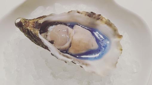 Ostra azul y crujiente frito de patata violeta con ostras liliofilizadas