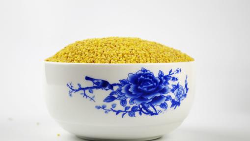 El mijo es uno de los cereales más antiguos y es muy rico en proteínas