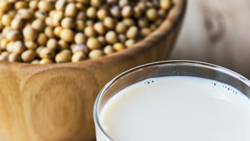 Las proteínas constituyen alrededor del 40% de las semillas de soja