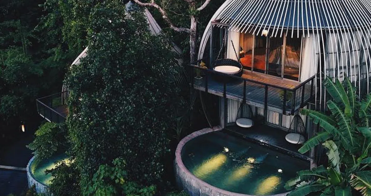 Cabañas en un árbol para vivir el lujo rodeado de naturaleza