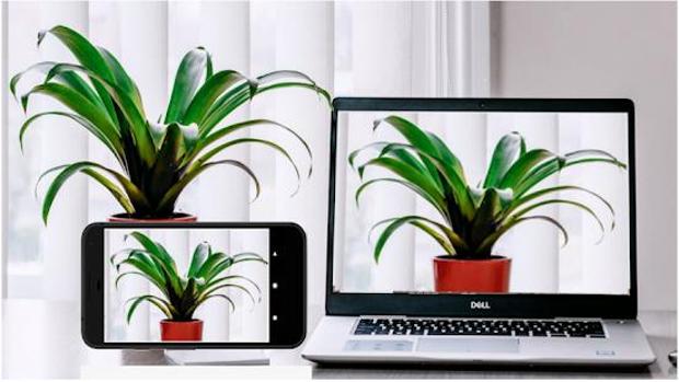 Cómo usar la cámara de tu iPhone y móvil Android como webcam