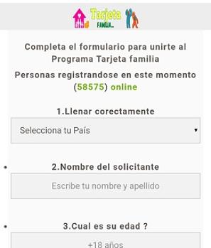 El formulario destinado a robar información