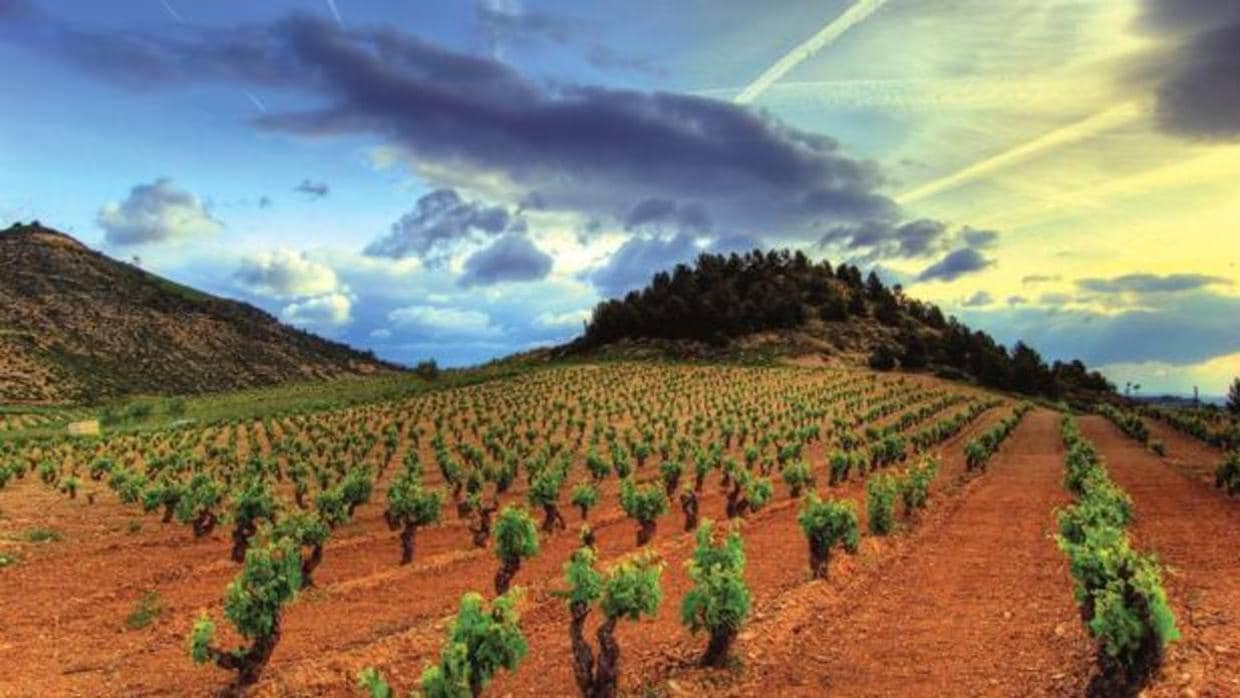 Diez Razones Por Las Que Rioja Es La Joya Del Enoturismo En España