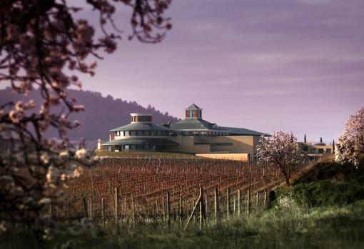 Vivanco Bodega, Fundación, Experiencias