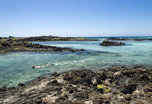Buceo en Isla de Lobos